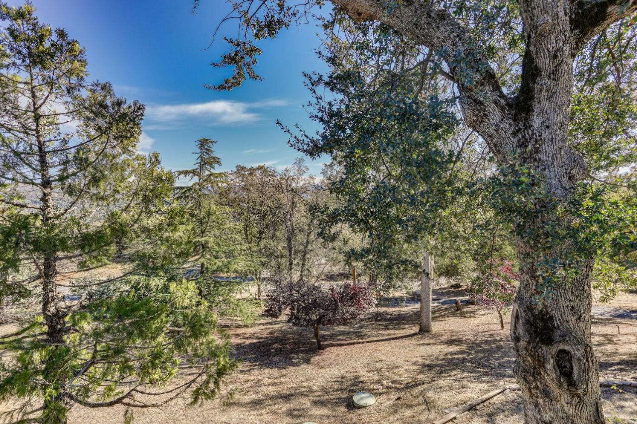 Cozy Studio With Well-Being Retreat Near Yosemite! Ahwahnee Ngoại thất bức ảnh