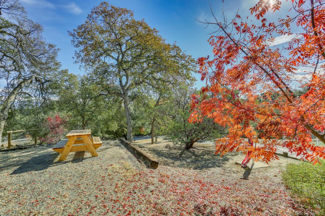 Cozy Studio With Well-Being Retreat Near Yosemite! Ahwahnee Ngoại thất bức ảnh